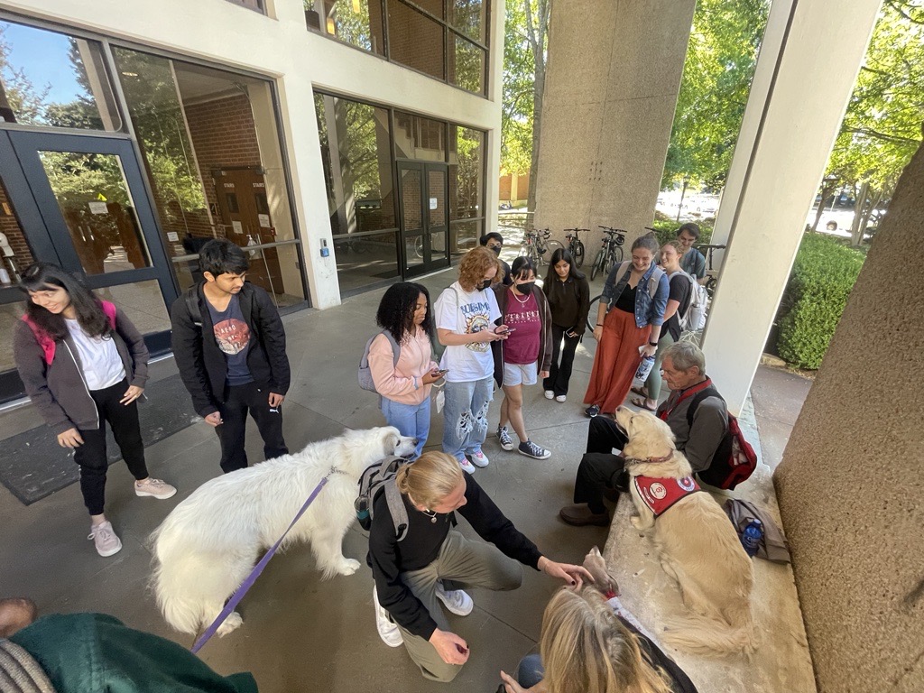 Pet Therapy Wellness Empowerment Center